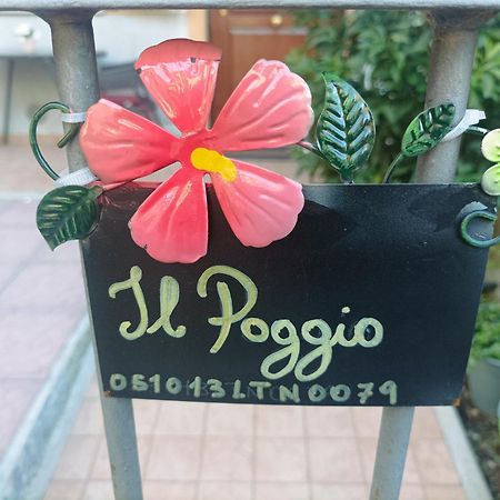 Il Poggio Apartment Meleto Bagian luar foto